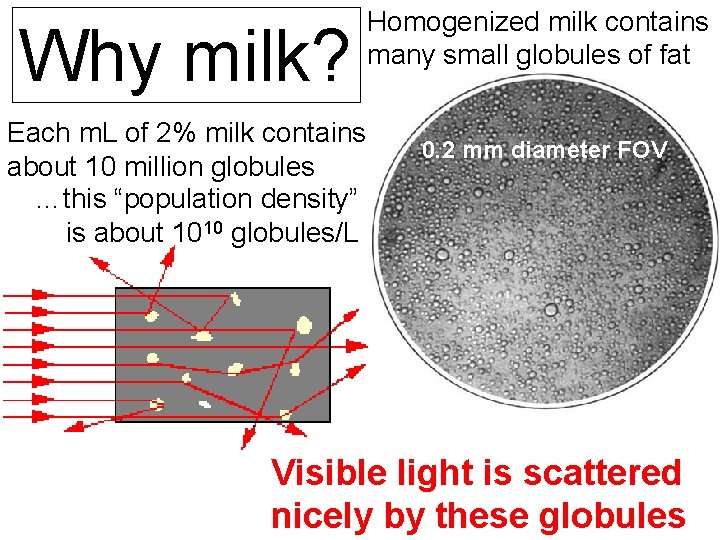 Why milk? Each m. L of 2% milk contains about 10 million globules …this