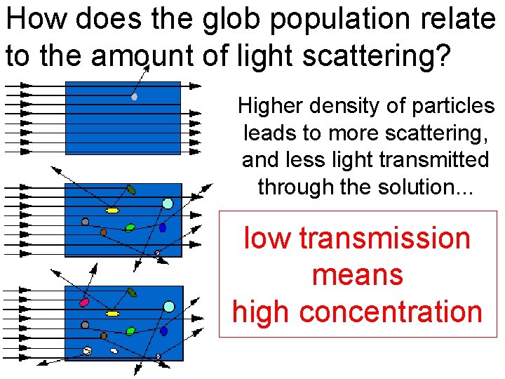 How does the glob population relate to the amount of light scattering? Higher density