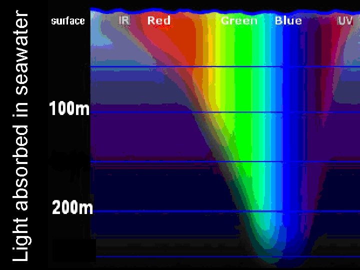 How do we explain the behavior of light
