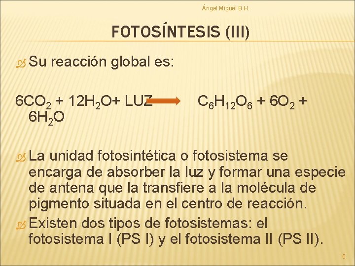 Ángel Miguel B. H. FOTOSÍNTESIS (III) Su reacción global es: 6 CO 2 +
