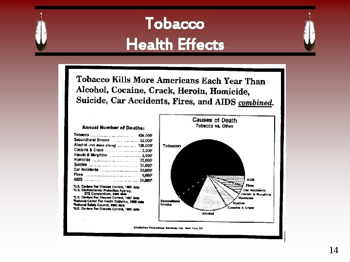 Tobacco Health Effects 14 