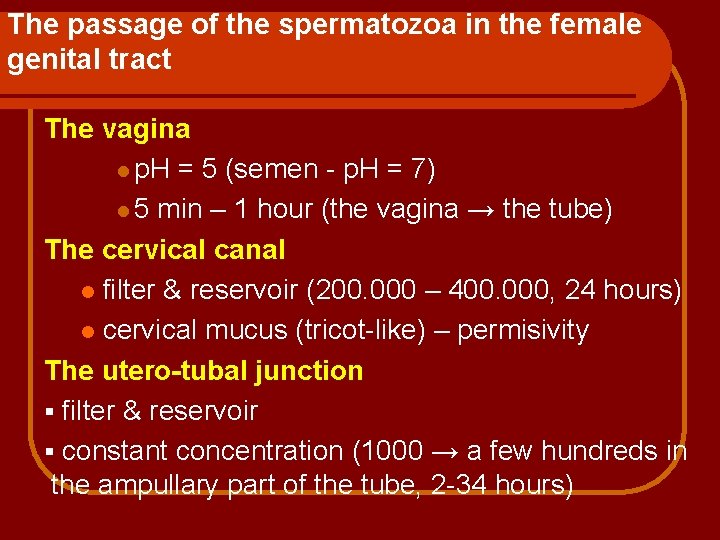 The passage of the spermatozoa in the female genital tract The vagina l p.