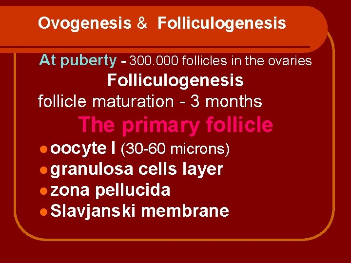 Ovogenesis & Folliculogenesis At puberty - 300. 000 follicles in the ovaries Folliculogenesis follicle