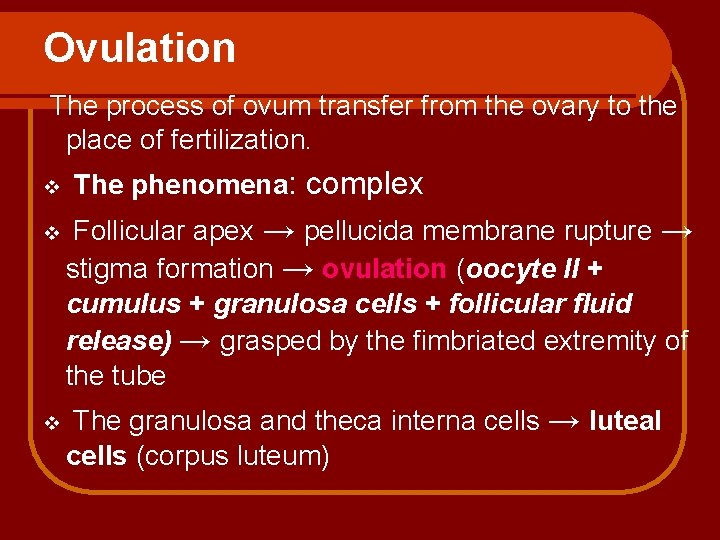 Ovulation The process of ovum transfer from the ovary to the place of fertilization.