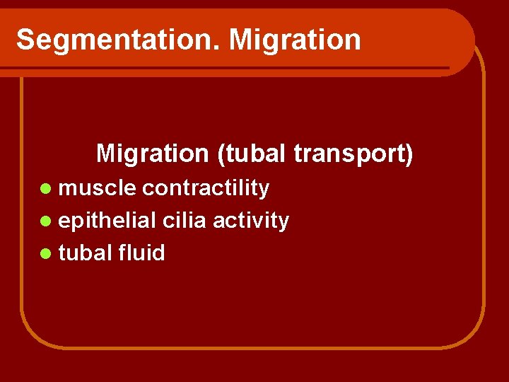 Segmentation. Migration (tubal transport) l muscle contractility l epithelial cilia activity l tubal fluid