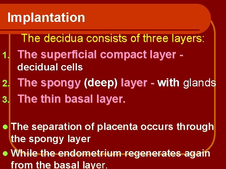 Implantation The decidua consists of three layers: 1. The superficial compact layer decidual cells