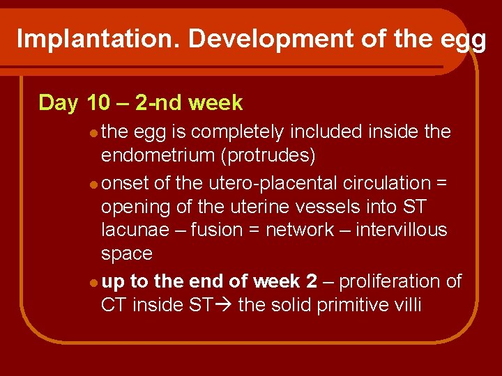 Implantation. Development of the egg Day 10 – 2 -nd week l the egg