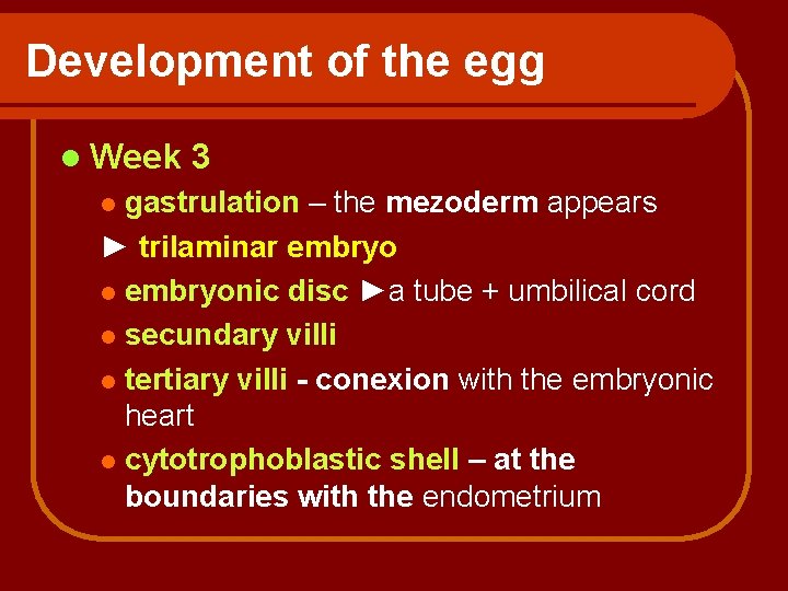Development of the egg l Week 3 gastrulation – the mezoderm appears ► trilaminar