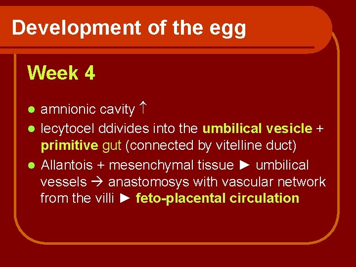 Development of the egg Week 4 amnionic cavity l lecytocel ddivides into the umbilical