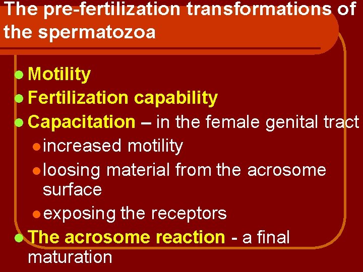 The pre-fertilization transformations of the spermatozoa l Motility l Fertilization capability l Capacitation –