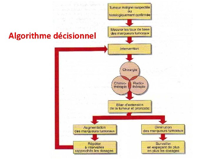 Algorithme décisionnel 