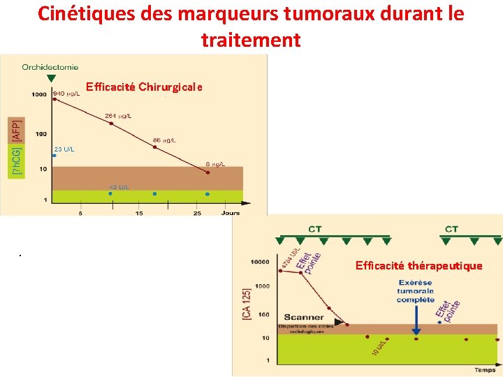 Cine tiques des marqueurs tumoraux durant le traitement Efficacite Chirurgicale . Efficacite the rapeutique