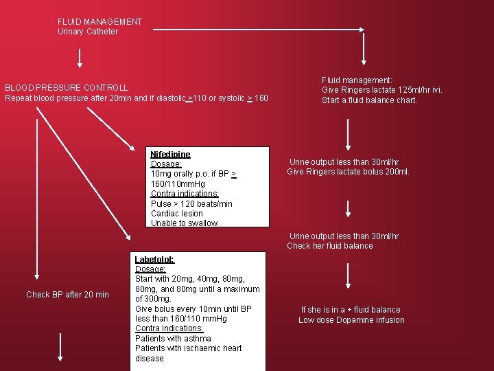 FLUID MANAGEMENT Urinary Catheter BLOOD PRESSURE CONTROLL Repeat blood pressure after 20 min and