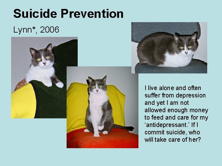 Suicide Prevention Lynn*, 2006 I live alone and often suffer from depression and yet