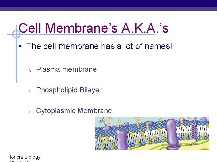 Cell Membrane’s A. K. A. ’s § The cell membrane has a lot of