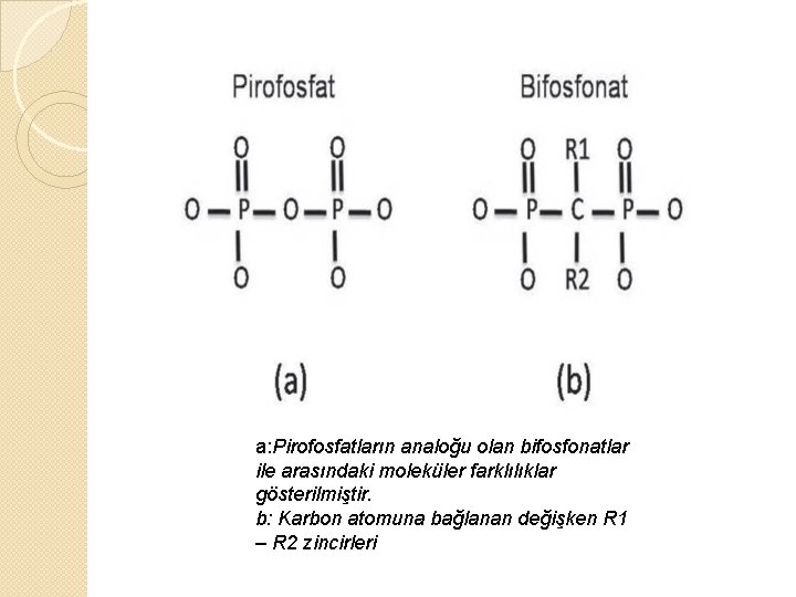 a: Pirofosfatların analoğu olan bifosfonatlar ile arasındaki moleküler farklılıklar gösterilmiştir. b: Karbon atomuna bağlanan