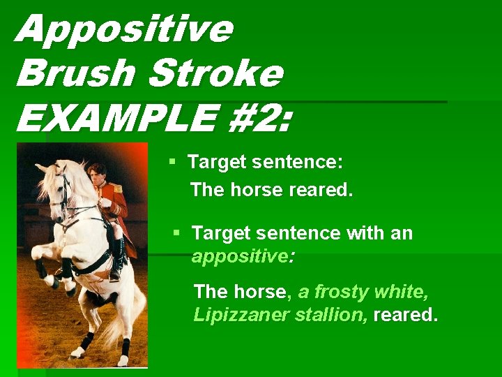 Appositive Brush Stroke EXAMPLE #2: § Target sentence: The horse reared. § Target sentence