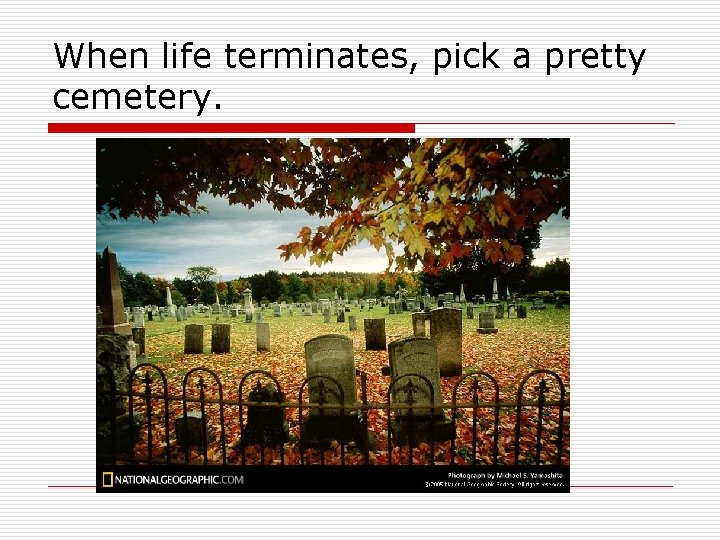 When life terminates, pick a pretty cemetery. 