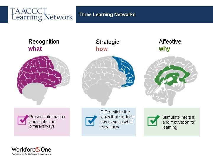 Three Learning Networks Recognition what Present information and content in different ways Strategic how