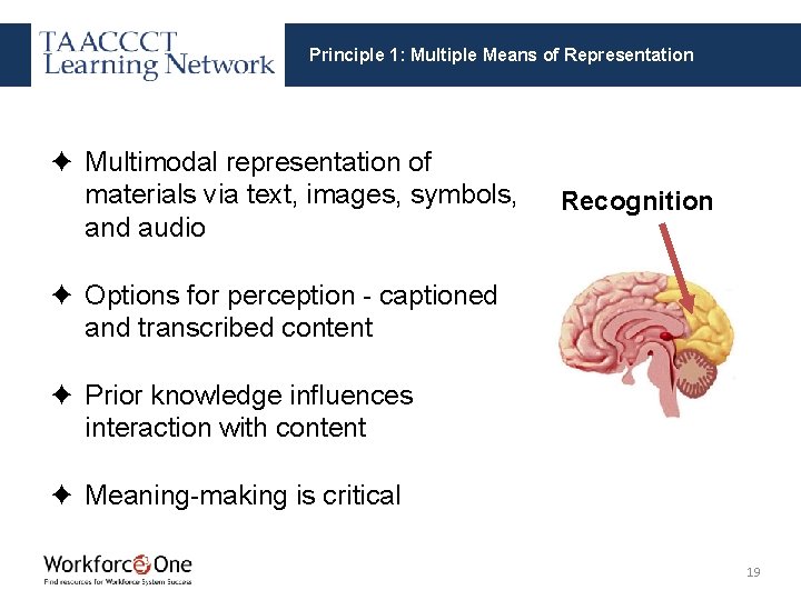 Principle 1: Multiple Means of Representation ✦ Multimodal representation of materials via text, images,