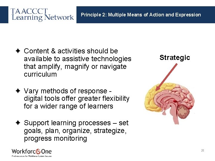 Principle 2: Multiple Means of Action and Expression ✦ Content & activities should be