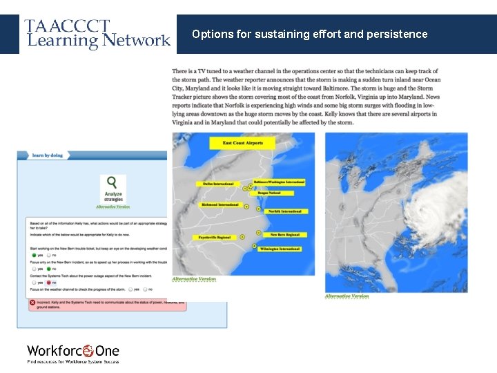 Options for sustaining effort and persistence 