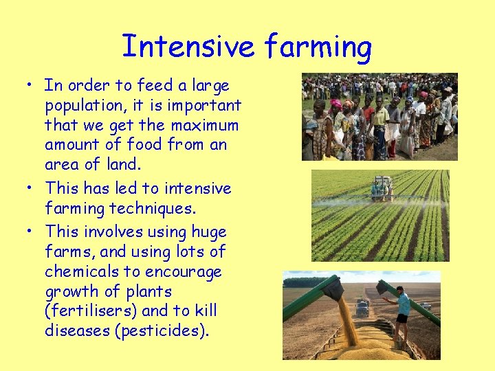Intensive farming • In order to feed a large population, it is important that