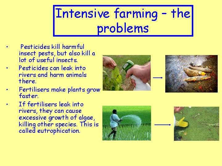 Intensive farming – the problems • • Pesticides kill harmful insect pests, but also