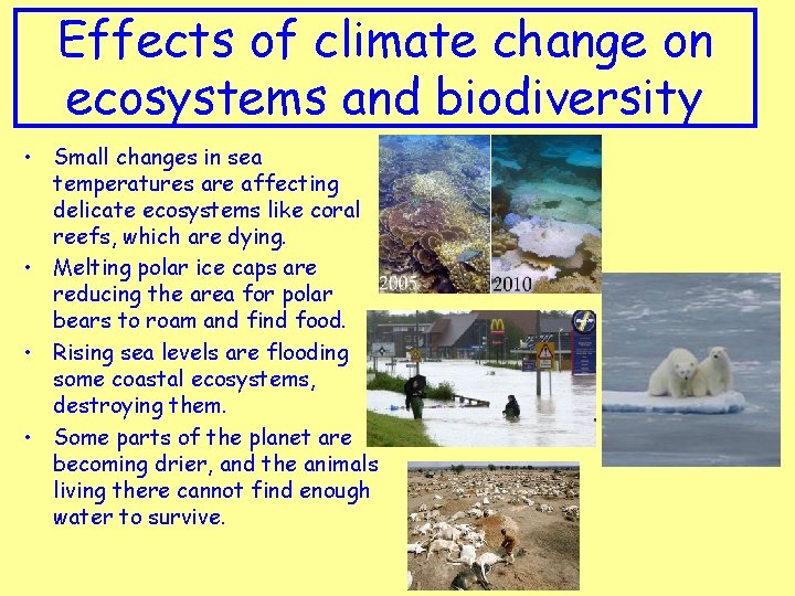 Effects of climate change on ecosystems and biodiversity • Small changes in sea temperatures