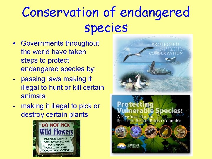 Conservation of endangered species • Governments throughout the world have taken steps to protect