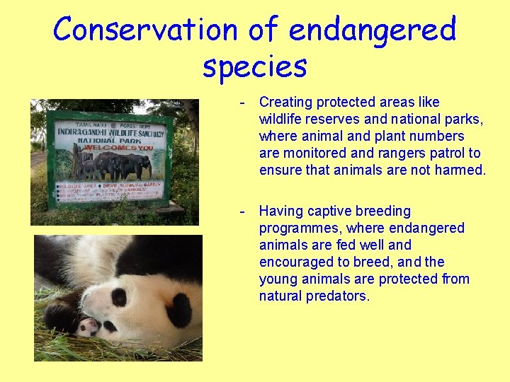 Conservation of endangered species - Creating protected areas like wildlife reserves and national parks,