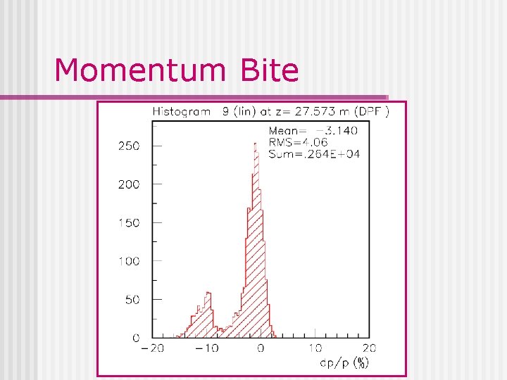 Momentum Bite 