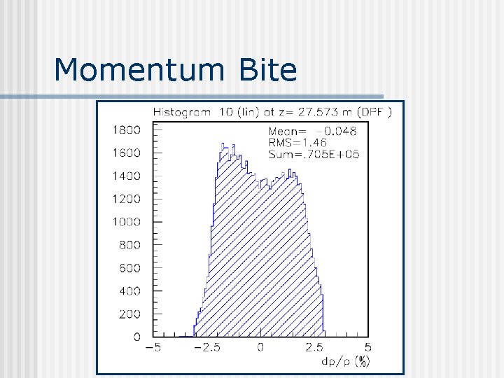 Momentum Bite 