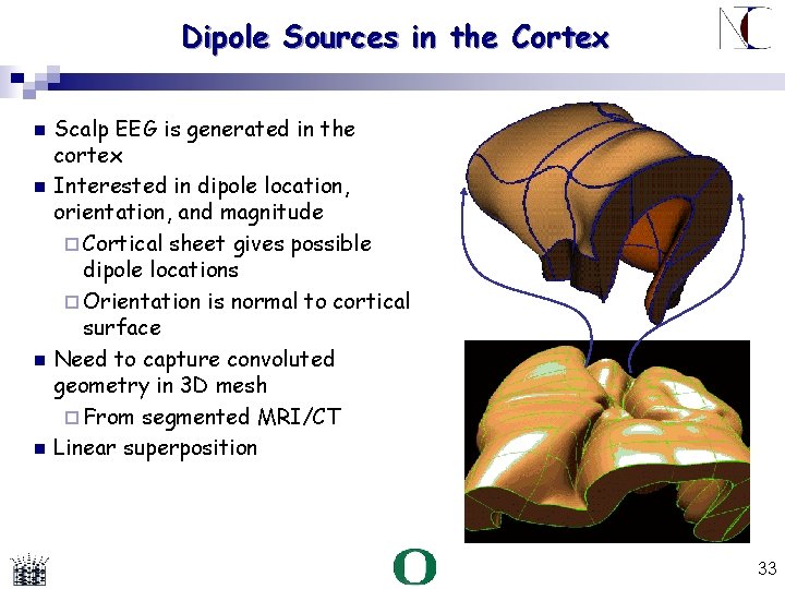 Dipole Sources in the Cortex Scalp EEG is generated in the cortex Interested in