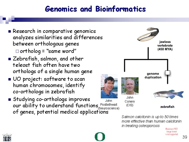 Genomics and Bioinformatics Research in comparative genomics analyzes similarities and differences between orthologous genes