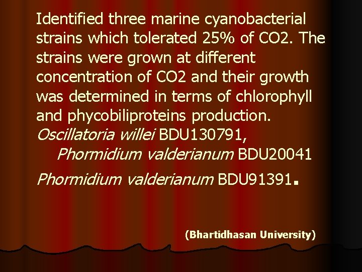 Identified three marine cyanobacterial strains which tolerated 25% of CO 2. The strains were