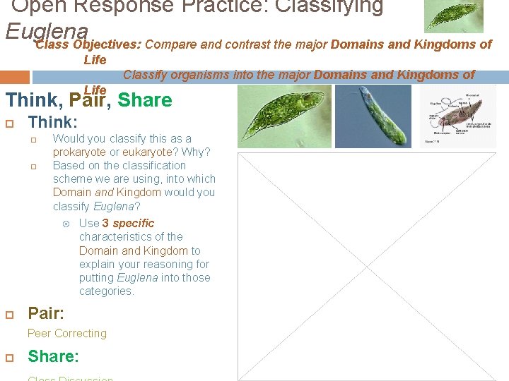 Open Response Practice: Classifying Euglena Class Objectives: Compare and contrast the major Domains and