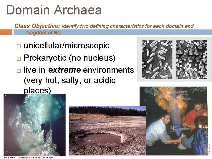 Domain Archaea Class Objective: Identify two defining characteristics for each domain and kingdom of