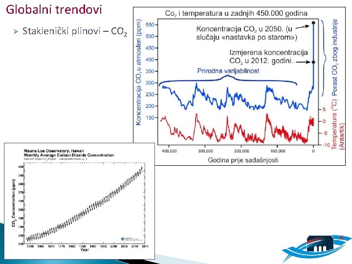 Globalni trendovi Ø Staklenički plinovi – CO 2 