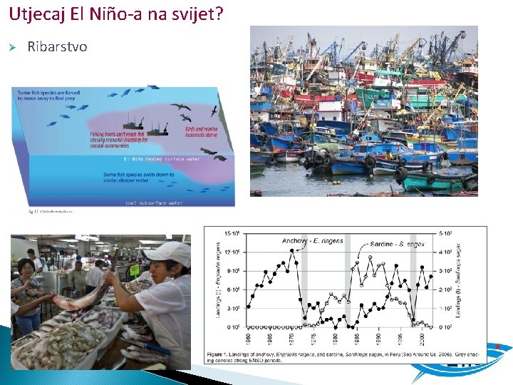 Utjecaj El Niño-a na svijet? Ø Ribarstvo 