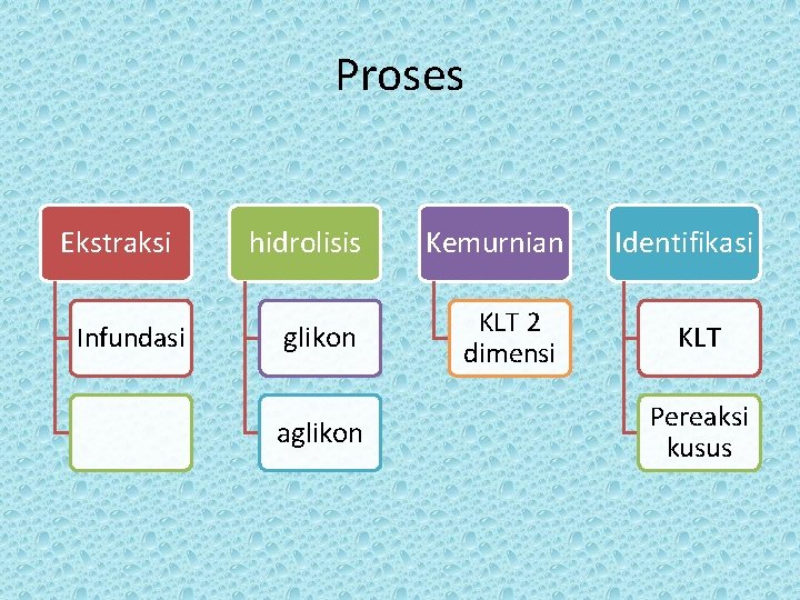 Proses Ekstraksi Infundasi hidrolisis Kemurnian glikon KLT 2 dimensi aglikon Identifikasi KLT Pereaksi kusus