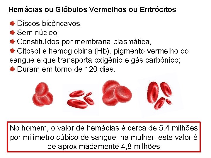 Hemácias ou Glóbulos Vermelhos ou Eritrócitos Discos bicôncavos, Sem núcleo, Constituídos por membrana plasmática,