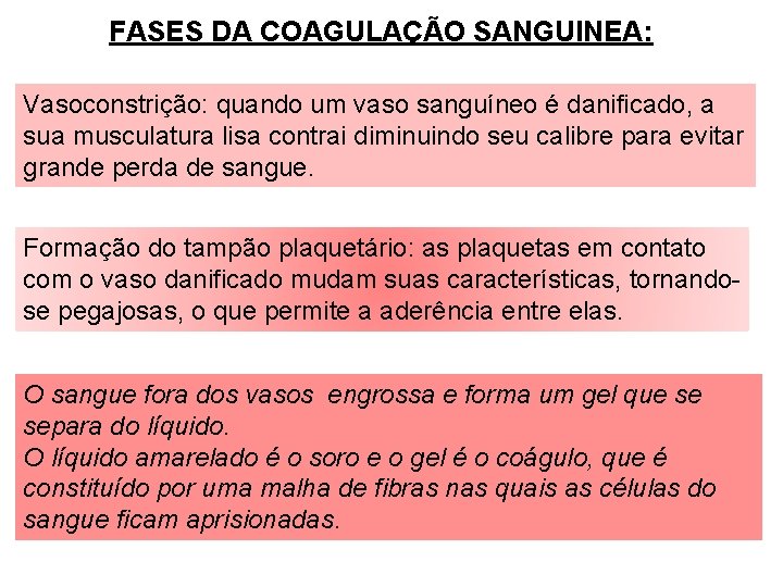 FASES DA COAGULAÇÃO SANGUINEA: Vasoconstrição: quando um vaso sanguíneo é danificado, a sua musculatura