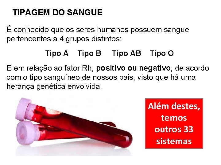 TIPAGEM DO SANGUE É conhecido que os seres humanos possuem sangue pertencentes a 4