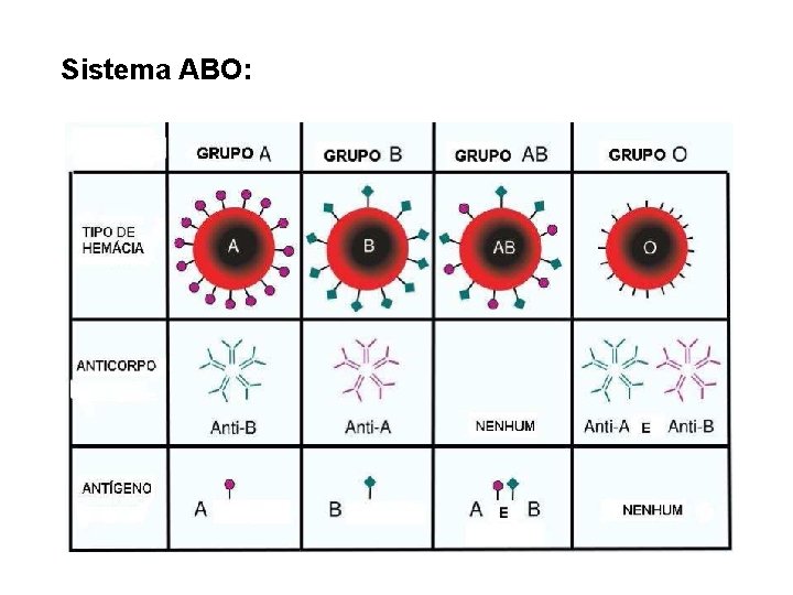Sistema ABO: 