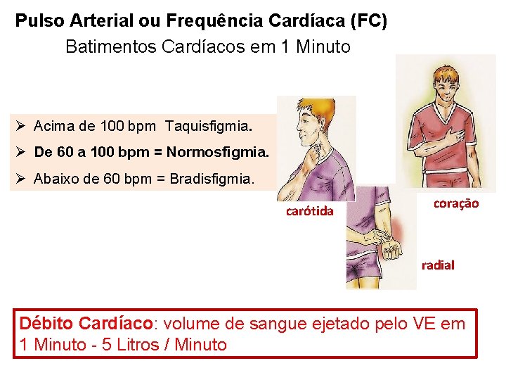 Pulso Arterial ou Frequência Cardíaca (FC) Batimentos Cardíacos em 1 Minuto Ø Acima de