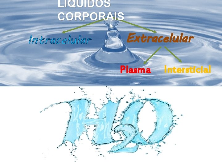 LÍQUIDOS CORPORAIS Intracelular Extracelular Plasma Intersticial 