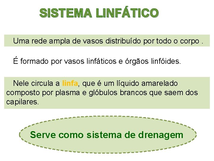 SISTEMA LINFÁTICO Uma rede ampla de vasos distribuído por todo o corpo. É formado