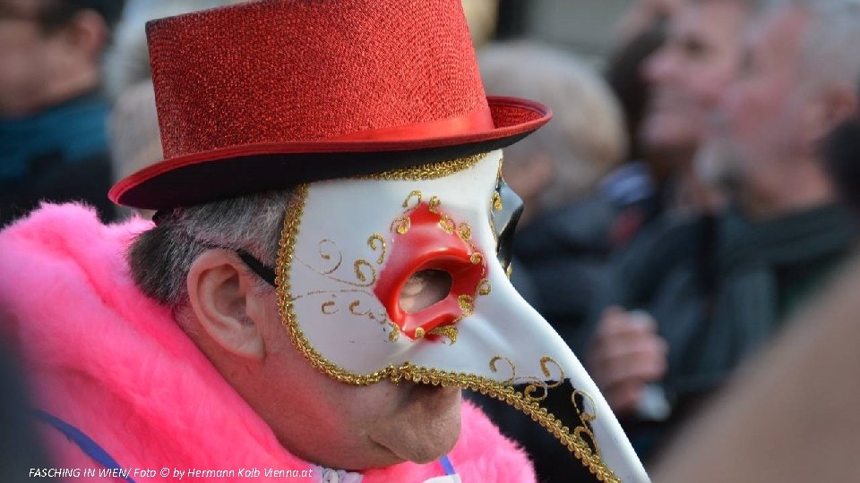 FASCHING IN WIEN/ Foto © by Hermann Kolb Vienna. at 