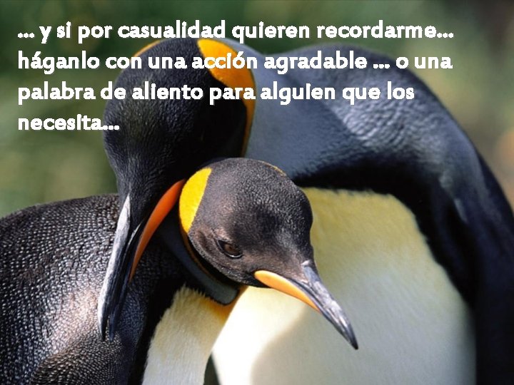… y si por casualidad quieren recordarme… háganlo con una acción agradable … o